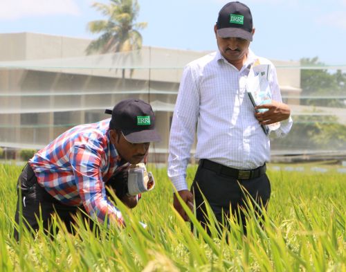 Research and Development